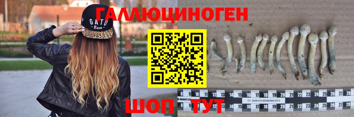 Галлюциногенные грибы Psilocybine cubensis  продажа наркотиков  Псилоцибиновые грибы прущие грибы  Советский  Вход с VPN 